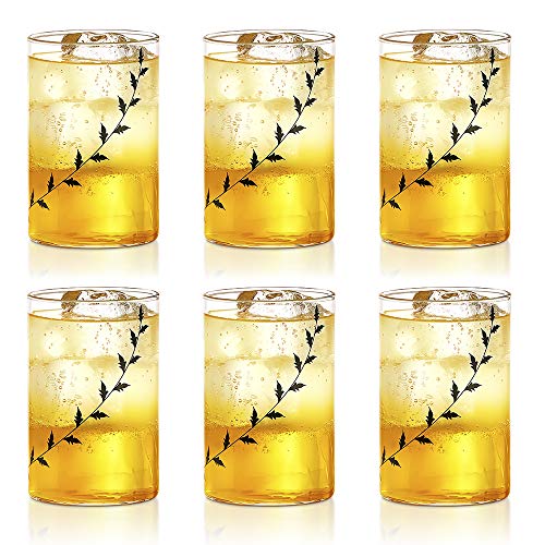 Borosil - Vision Black Krip Medium Glass, 295ml - Pack of 6