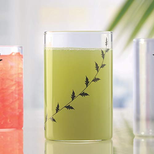 Borosil - Vision Black Krip Medium Glass, 295ml - Pack of 6 - Image 6