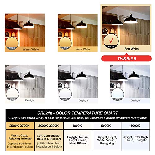 Citra Led Vintage Edison Bulbs,Antique Retro Incandescent Light Bulb 4W Squirrel Cage Filament Light Bulb T45 Classic Amber Glass E26/E27 Medium Base Dimmable (2 Pack) - Image 3