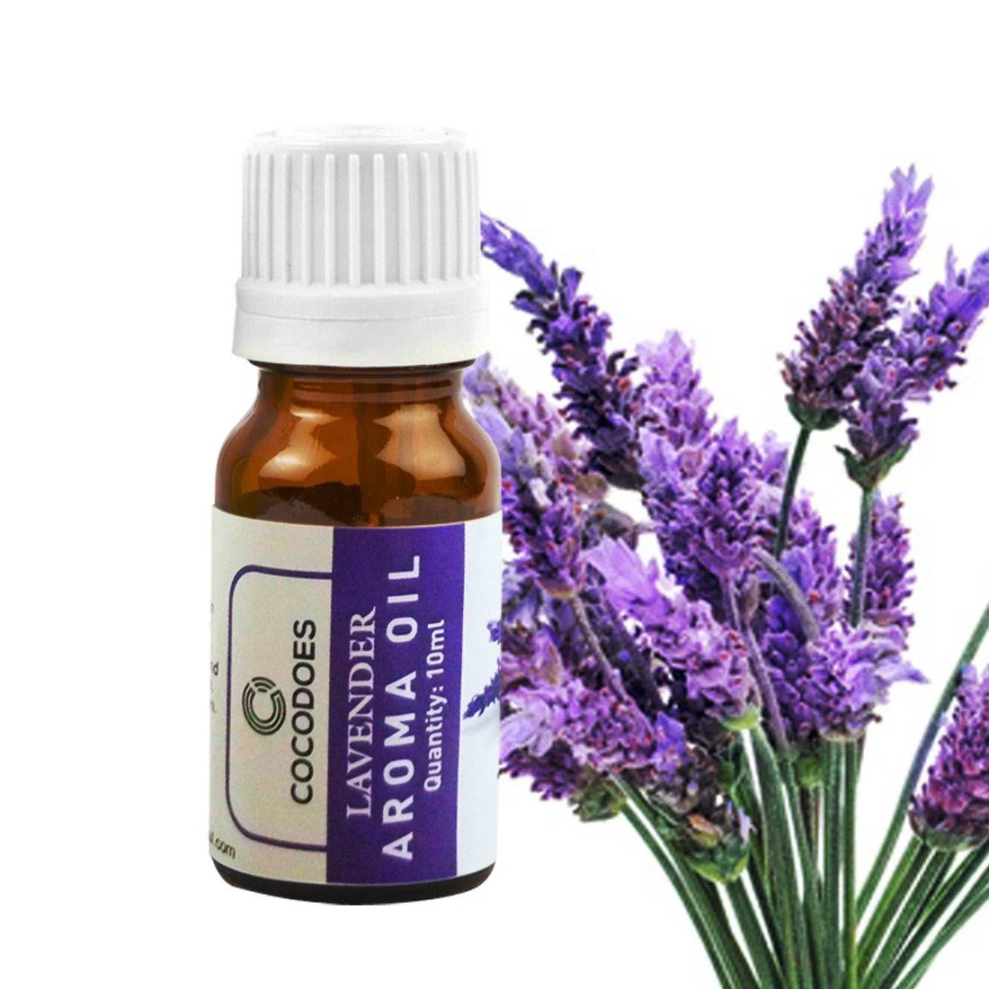 Cocodoes Aroma Oil Rose Lemon Grass Jasmine Lavender Sandalwood Glass Diffuser, 10ml (Multicolour, CD-AROMAOIL-5PC) - Image 5