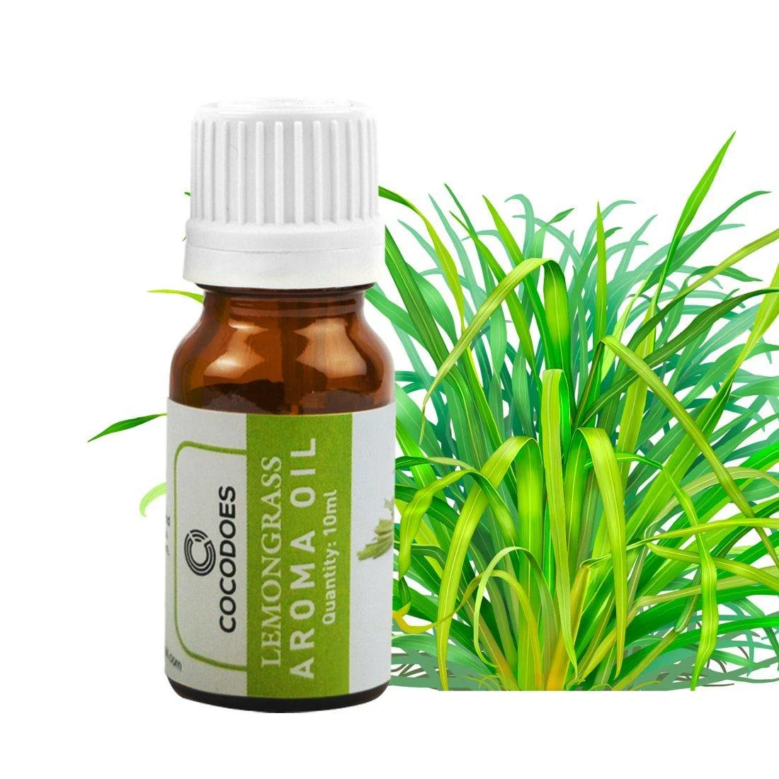 Cocodoes Aroma Oil Rose Lemon Grass Jasmine Lavender Sandalwood Glass Diffuser, 10ml (Multicolour, CD-AROMAOIL-5PC) - Image 6