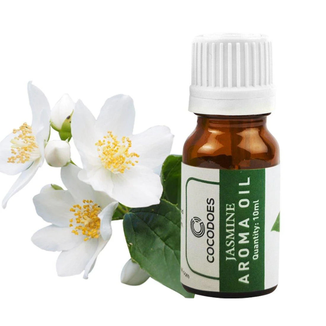 Cocodoes Aroma Oil Rose Lemon Grass Jasmine Lavender Sandalwood Glass Diffuser, 10ml (Multicolour, CD-AROMAOIL-5PC) - Image 7