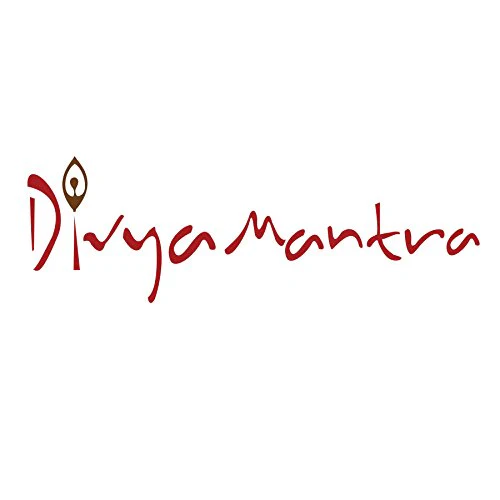 Divya Mantra Feng Shui Chinese Lucky Fortune I-Ching Dragon Coin Ornaments Wealth Charm Amulet 3 Bronze Metal Coins with Hole & Red Ribbon Knot for Good Money Luck, Decoration Charms Set of 3 – Copper - Image 8