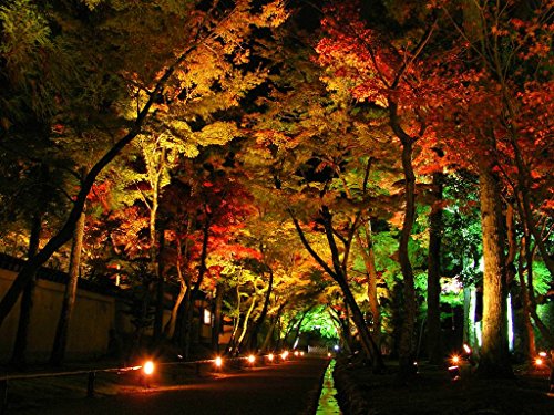 DMT™ 3 Watt Red Waterproof Spike LED Garden Light For Outdoor Purposes (Pack of 2) - Image 3