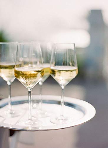 Exelcius® - Red or White Wine Glass 2 Pcs. Set, 360 ml,Transparent Glass - Image 9