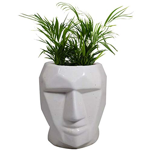 India Meets India Ceramic Flower Vase (6.5 x 3.5 inch, White)