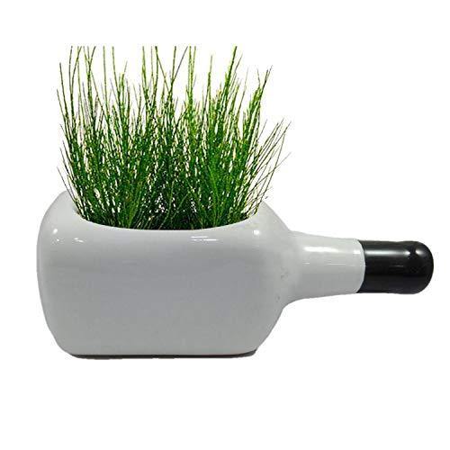 India Meets India Ceramic Flower Vase (White_8X3 Inch)