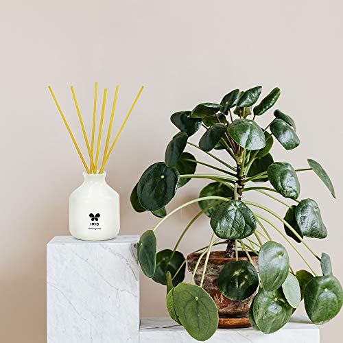 IRIS Reed Diffuser with Ceramic Pot - Lemon Grass - Home Fragrances - Risk-Free - Easy to use - 60 ml - Image 8