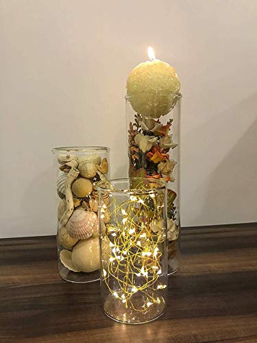 LABZIO Glass Flower Vase (6 inch , 7.5 inch , 10.5 inch, Transparent)