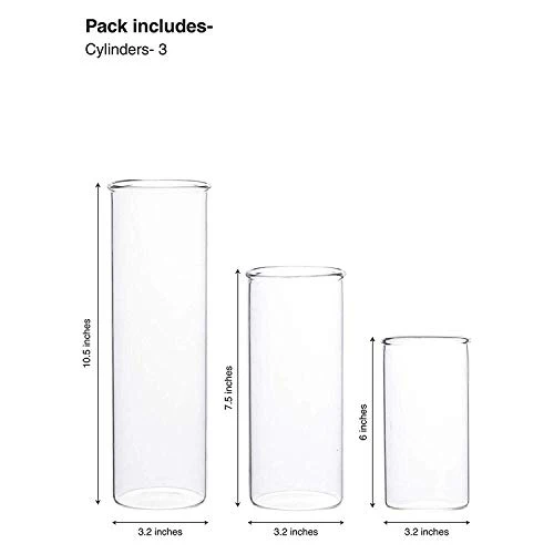 LABZIO Glass Flower Vase (6 inch , 7.5 inch , 10.5 inch, Transparent) - Image 5