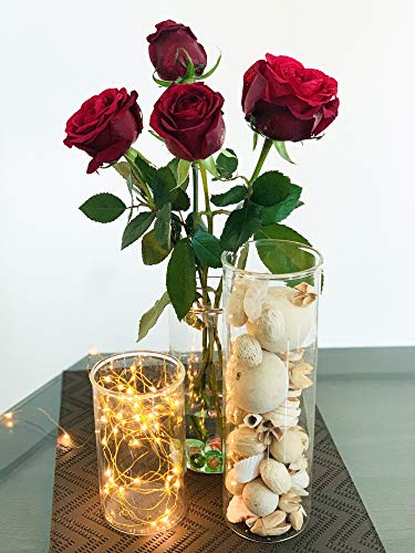 LABZIO Glass Flower Vase (6 inch , 7.5 inch , 10.5 inch, Transparent) - Image 7