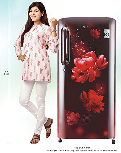 LG 190 L 4 Star Inverter Direct-Cool Single Door Refrigerator (GL-B201ASCY, Scarlet Charm) - Image 6