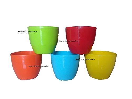 Minerva Naturals GARDENS NEED Cool Pot (Pack of 5, Multicolour)