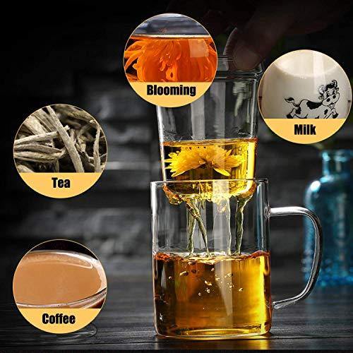 Octavius Borosilicate Glass Green Tea Cup with Infuser and Lid - 350 ml - Image 6