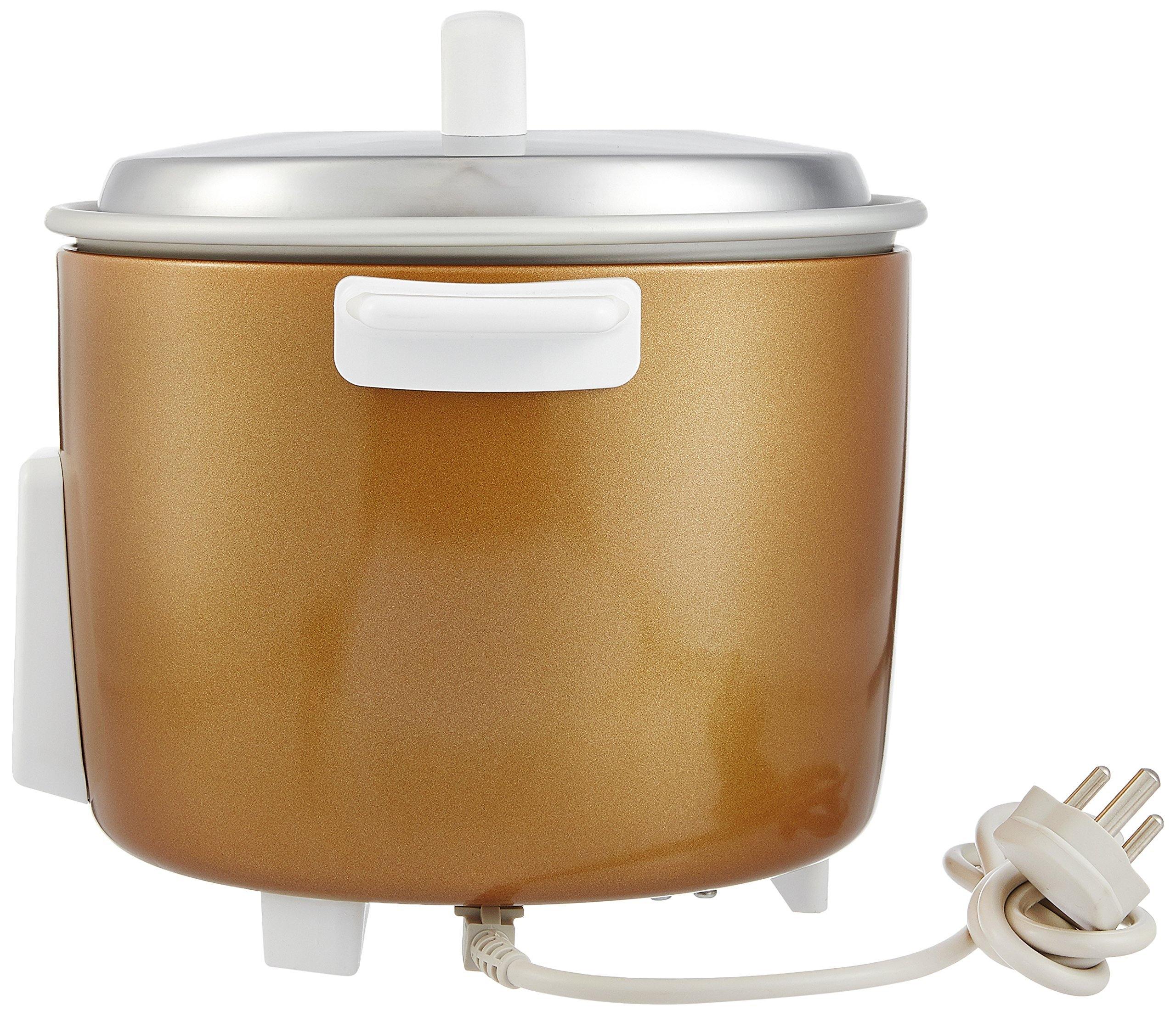 Panasonic SR-W18GH 270-Watt Automatic Cooker Warmer Combo Gift Pack (Gold) - Image 4