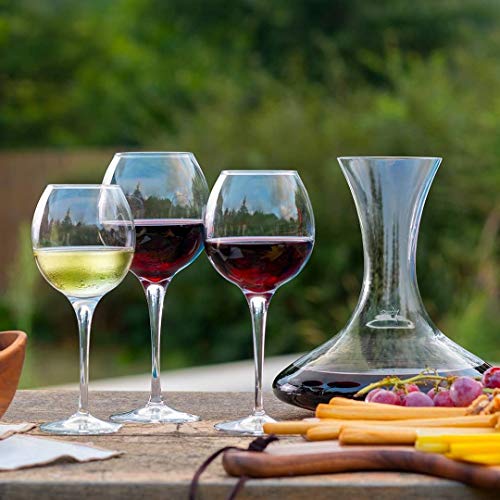 Pasabahce Montis Red Wine Glass - Set of 6 (540 ml) - Image 3