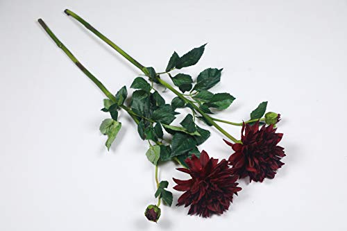 PolliNation Decorative Natural Looking Maroon Dahlia Artificial Flower for Home Decor (Pack of 2, 30 INCH) - Image 4