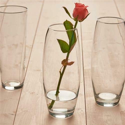 Revinox Botanic Glass Flower Vase (10.5 inch) - Image 2