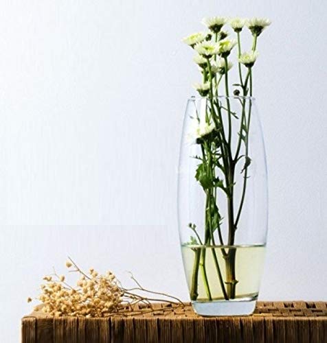 Revinox Botanic Glass Flower Vase (10.5 inch) - Image 5